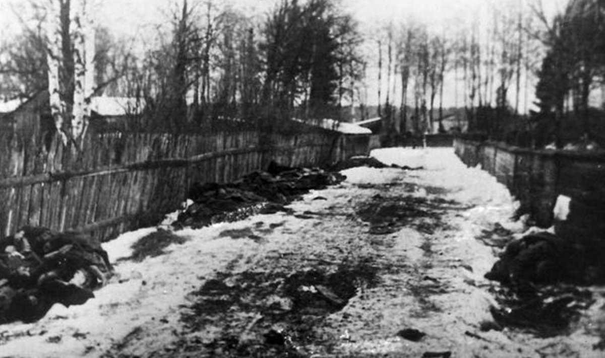 TÜÜFUSE OHVRID: Loodearmee sõdurite surnukehad Narva eeslinnas 1919 lõpul.