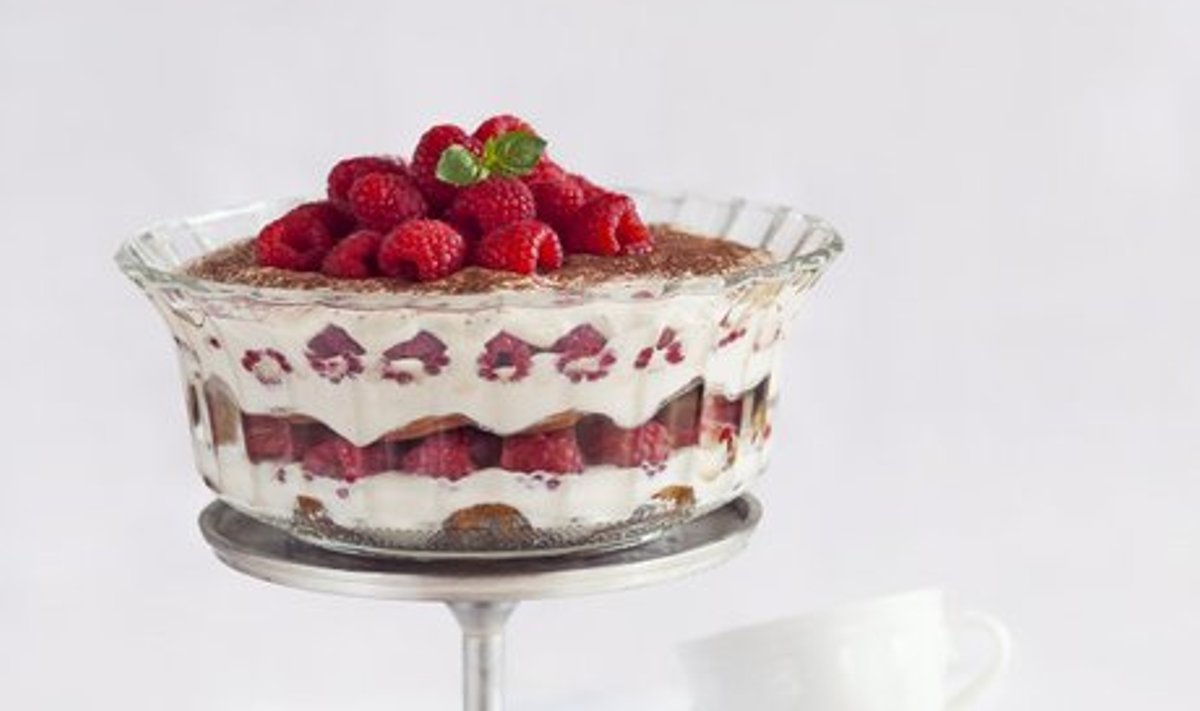 Vaarikatiramisu