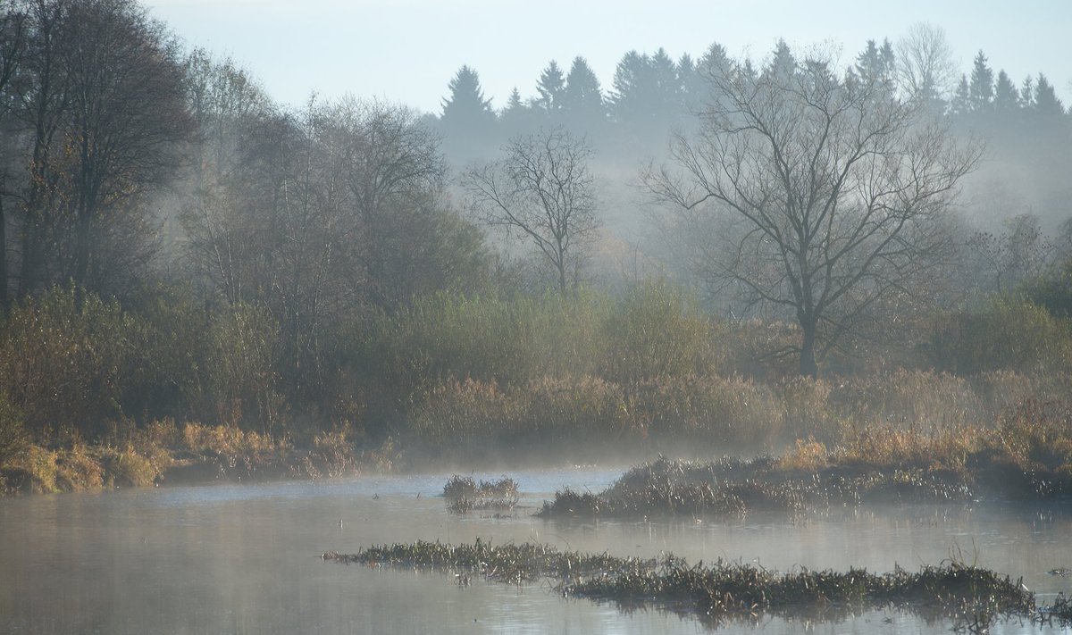 Pirita jõe ürgorg