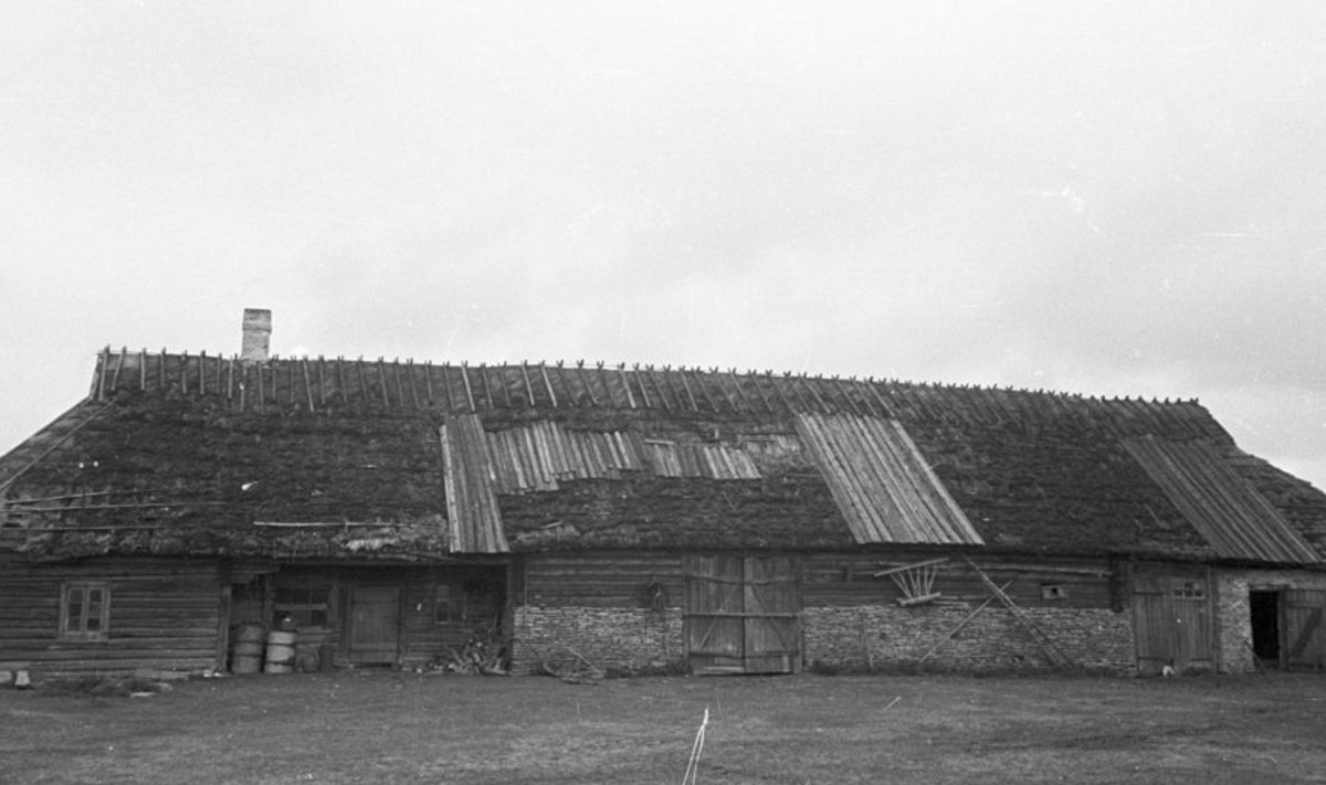 Kõik algab katuse tervisest. Paigatud rehemaja katus aastal 1960. Foto: EVM