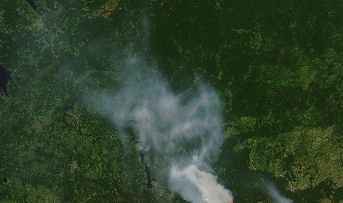 Metsapõleng Venemaa lääneosas, allikas:NASA