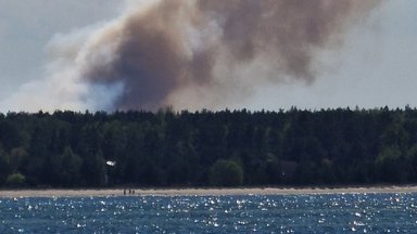 ФОТО | В Клоога на территории Сил обороны полыхает лесной пожар, спасатели просят людей держаться подальше от места происшествия 