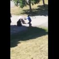 VIDEO | Lasnamäel ründas koer 7-aastast tüdrukut. Sama loom on inimesi rünnanud varemgi
