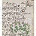 Voynichi manuskript: Iidne ürik keeldub oma saladusi kätte andmast