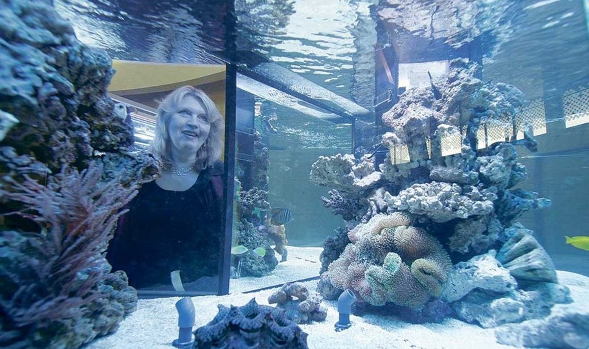 AHHAA teaduskeskuse juhataja Tiiu Sild läbi akvaariumi vaatamab.