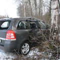 DELFI FOTOD: Järvamaal kaldus Opeli juht vastassuunavööndisse ja sealt edasi vastu puud