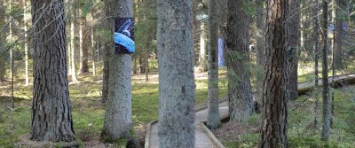 Maarjaküla näitus Põlvamaa metsas