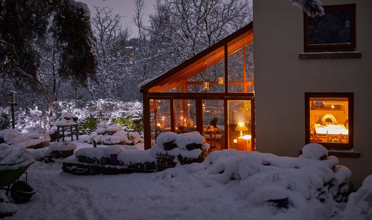 Теплый дом посреди зимнего сада