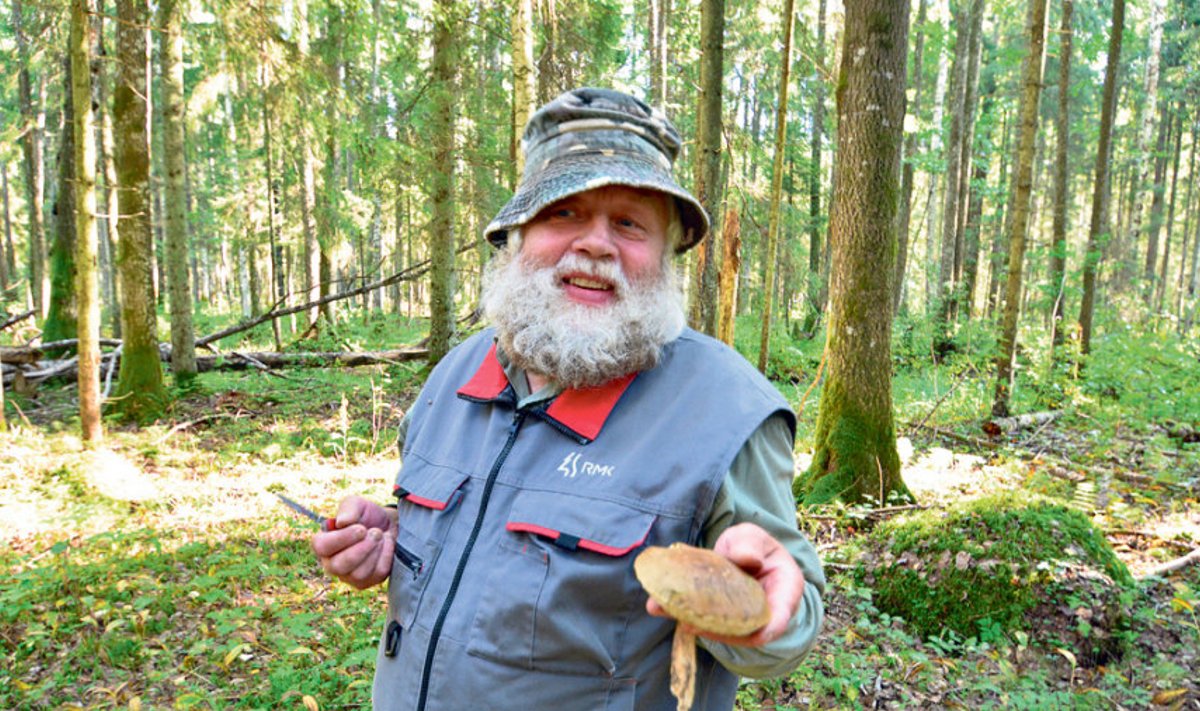 Soomaal asuva Kuusekäära talu peremees Indrek Hein on kohalikele tuntud hea metsatundjana, kel  ümberkaudsed marja- ja seenekohad kõik teada. Sellist suurt seent ei korja mees ise ega soovita teistelegi.