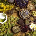 Лекарственные травы в домашней аптечке: природные помощники для поддержания здоровья