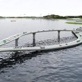 Pärlijõe kaelakee-sild - sõlme aetud lahendus ebatavalisele liiklusprobleemile