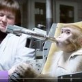 Loomapiinamine uuel tasemel? Venelaste ahvid-Marsile-missioon kutsub esile proteste