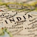 Власти Индии запретили в стране деятельность Greenpeace