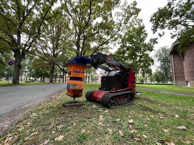 Valikus on nii suuremaid kui väiksemaid puure.