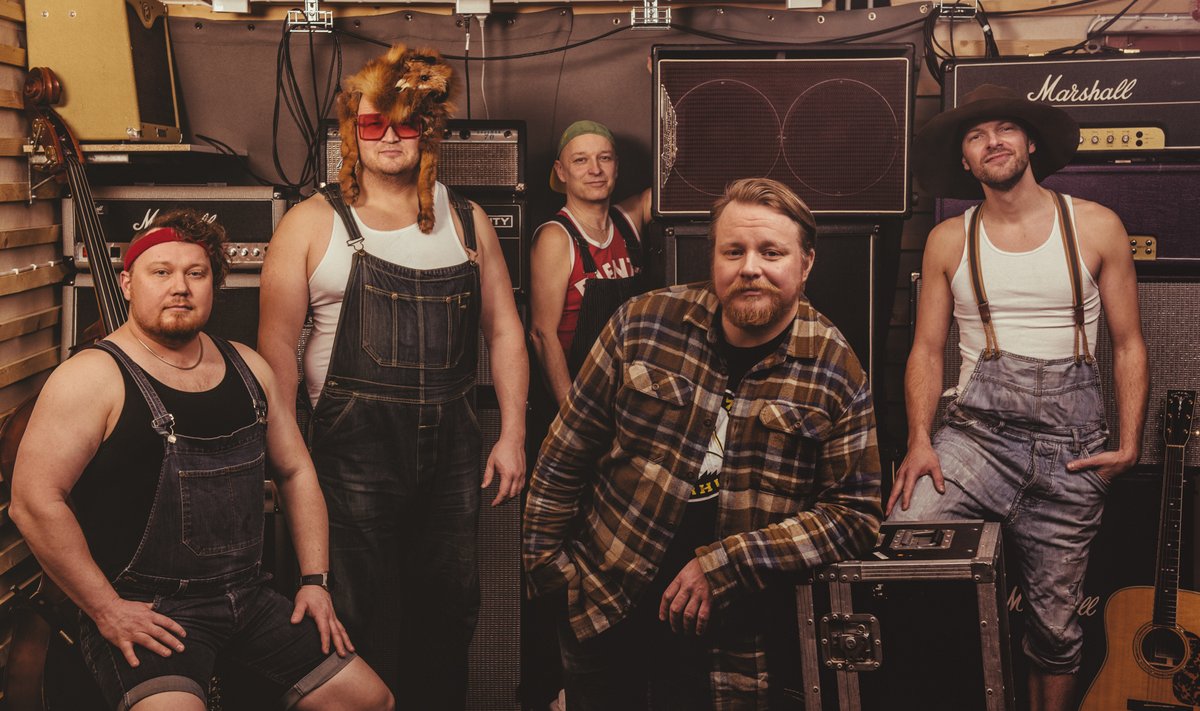 Steve’n’Seagulls