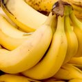 Taanis leiti banaanikobarate vahelt sada kilo kokaiini