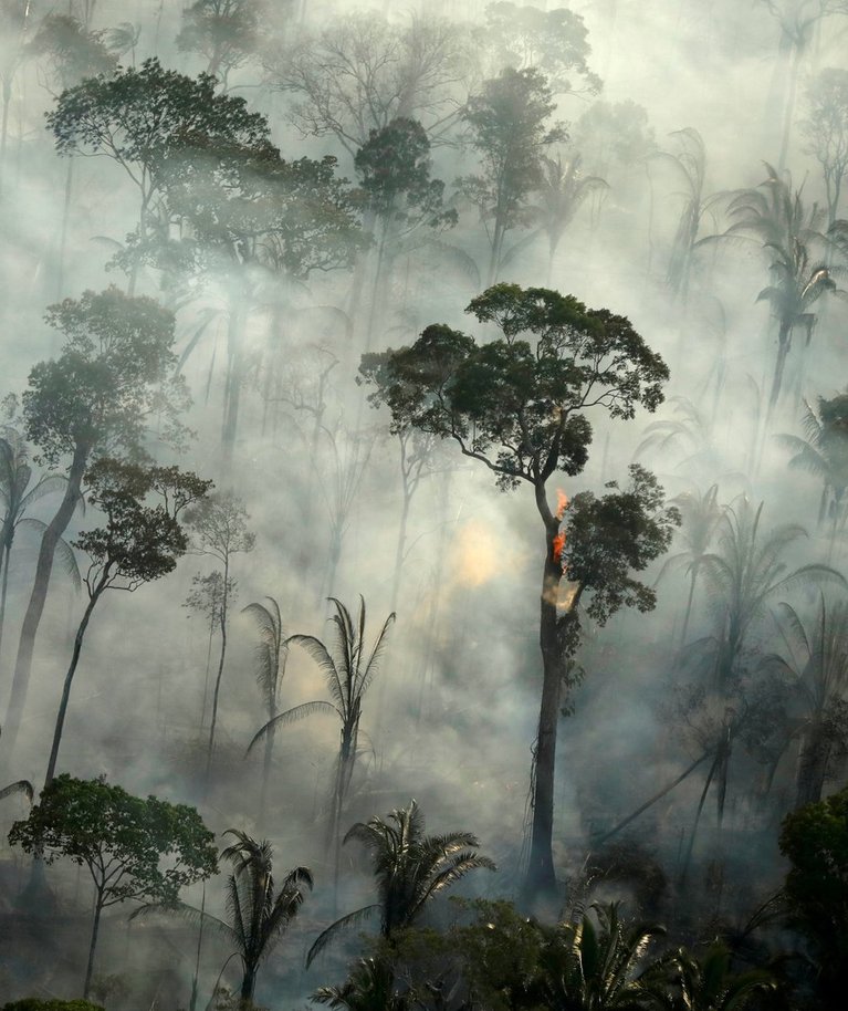 Enamik tekkivatest emissioonidest on Amazonase tulekahjude tagajärg, millest paljud on süüdatud teadlikult, et tekitada vaba maad liha- ja sojatootmise jaoks.