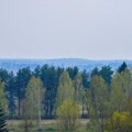 Эстонию накрыло синим дымом неясного происхождения. Подозревают, что он из России