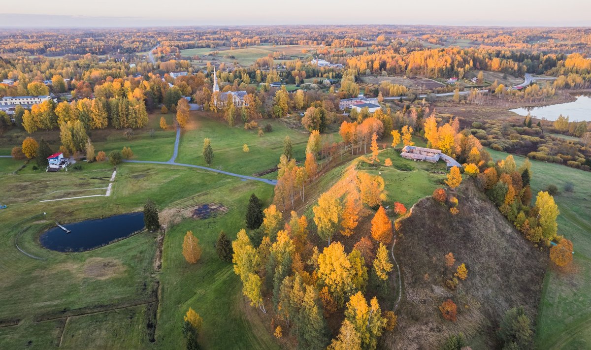 EKRE muretseb enda sõnul piirkonna metsade säilimise pärast.