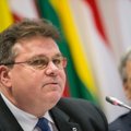Глава МИД Литвы: мы не хотим конфронтации с Россией