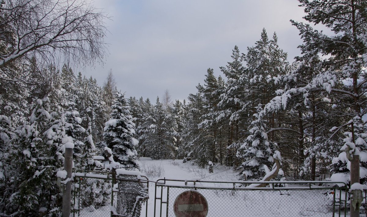 Vigala Sassi koduvärav talvises vaikuses Saaremaal.