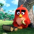 FOTOD: "Angry Birds: Vihased linnud. Film" eelesilinastusel olid kohal nii linnud, põrsad kui ka... kiskjad