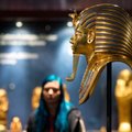 Через неделю в Таллинне откроется выставка сокровищ Тутанхамона