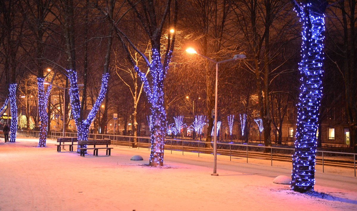 Lumesadu laupäeva õhtul Tallinnas