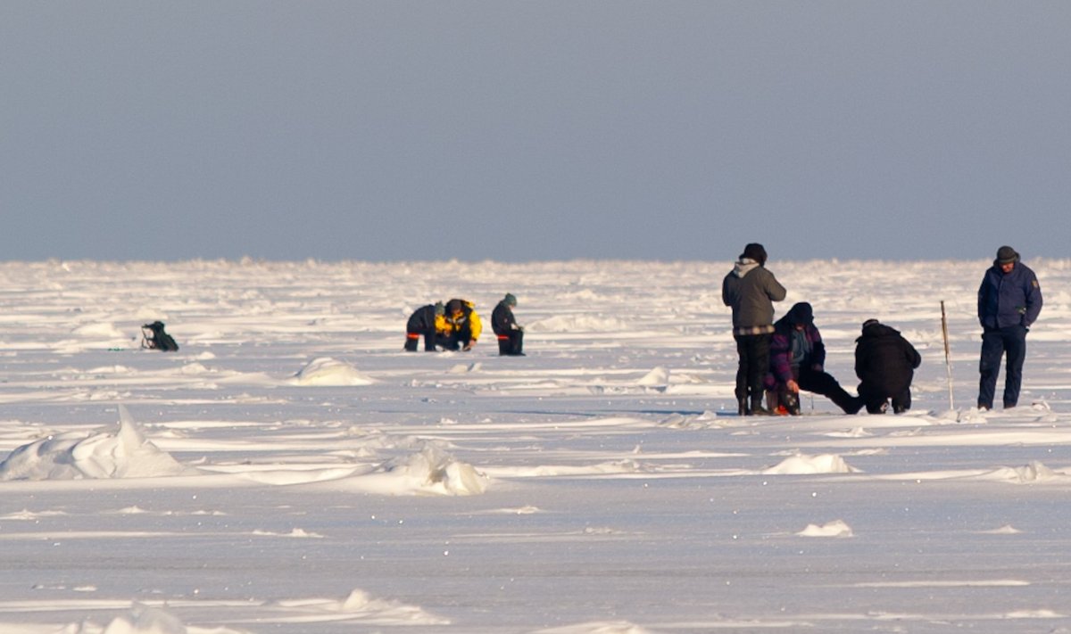 Kalurid Peipsi jääl 2014. aasta algul.