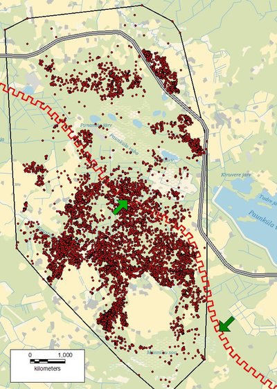 Jüri asukohapunktid ja kodupiirkond ajavahemikus 19.10.2016-02.11.2017, MCP100%: 50,8 km². Distants kaugeimate asukohapunktide vahel on ca 11,6 km. Tähistatud on olemasoleva maantee (hall topeltjoon), uue maanteetrassi (punane sakiline joon) ning planeeritava ökodukti (heleroheline nool) ja tarakatkestuse (tumeroheline nool) paiknemine.
