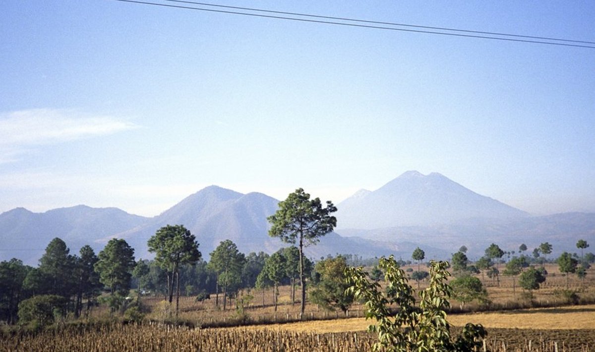 Savann Guatemalas. Foto: V. Dunajev, RIA Novosti