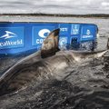 Ookeani matriarh: Kanada vetest leiti hiiglaslik hai