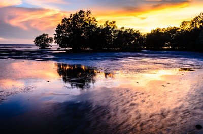 Päikeseloojand Darwini mangroovides