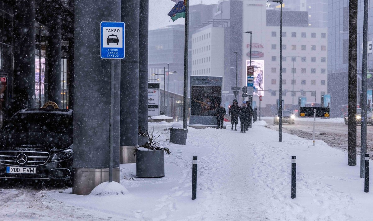 SIIN MALLE KUKKUS: Tallinna linn ja ühistu vaidlevad, kas seda ruutmeetrit, millel Malle kukkus, pidanuks koristama linn või ühistu. See pilt on tehtud tänavu 3. jaanuaril.