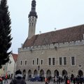 Tallinn alustas Raekoja platsile sobiva jõulupuu otsinguid