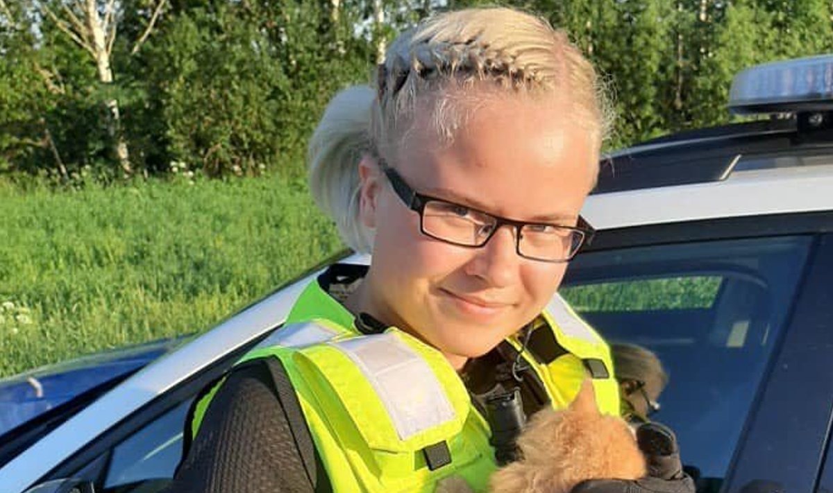 Politsei päästis suurelt teelt kassipoja