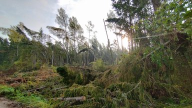 FOTOD | Augustitorm kahjustas oluliselt ka metsasid Nursipalu harjutusväljal