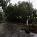 Honkongi tabanud taifuunis sai viga 120 inimest
