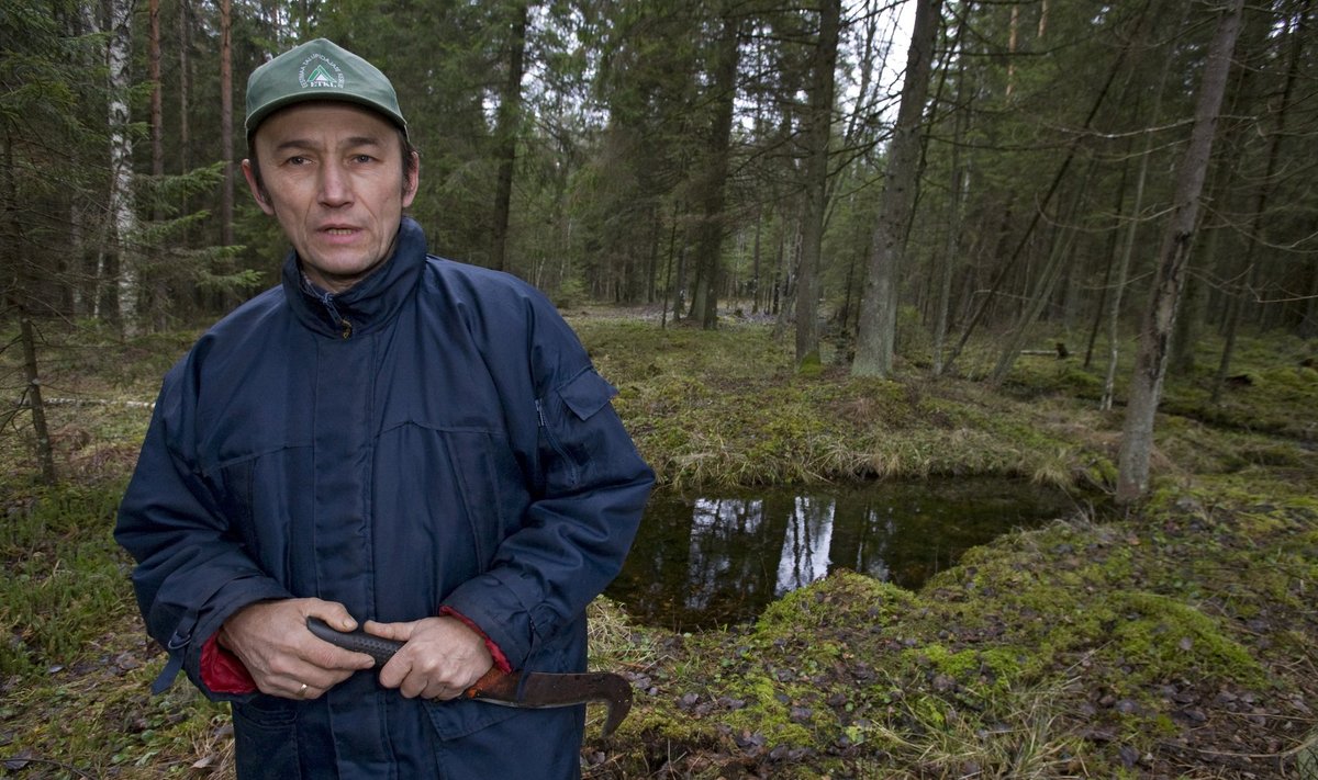 Loo autor, Ambla Metsaühistu juhatuse liige Toomas Lemming juhib tähelepanu asjaolule, et toetuste jagamisel käsib metsaseadus eelistada väikemetsaomanikku.
