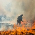 Läänemaal põles üle viie hektari kulu, tulekahju on kontrolli alla saadud