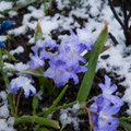 ILMATEADE | Jätkub külmema õhu sissevool, Kirde-Eestis sajab lörtsi või lund