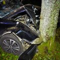 Ночью в Мустамяэ автомобиль вылетел с дороги и врезался в дерево