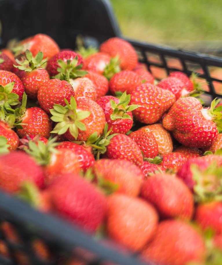 Maasikad kütavad kirgi igal suvel.