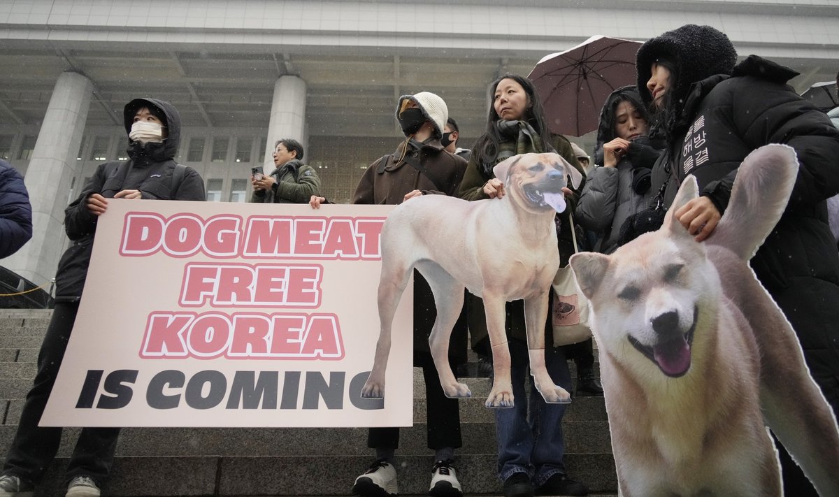 Lõuna-Koreas kogunesid parlamendihoone trepile loomakaitsjad, kes on aastaid võidelnud koeralihatööstuse lõpetamise nimel.