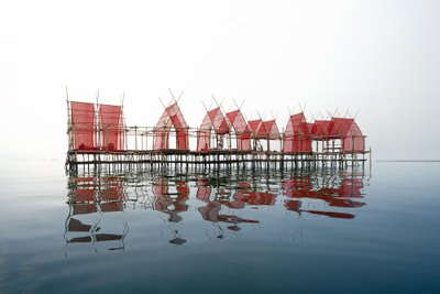 Angsila Oyster tellingutel paviljon Tais, autoriks Chat Architects