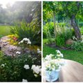 “Мой дом летом” | Один из красивейших внутренних дворов Кохтла-Ярве