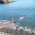 MAALEHT MADEIRAL: Suur küsimus – kuidas saaks Funchalis ookeani ujuma minna?