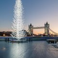 Eesti 100 disainerid ehivad jõulude ajal Londoni kesklinna väljakut
