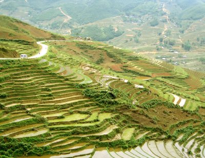 Riisipõllud Põhja-Vietnamis.