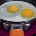 Stopp, ära viska munakoori ära: neid saab vähemalt viiel moel enda kasuks tööle panna!